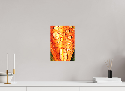 8 x 12″, Matte Canvas Transparency