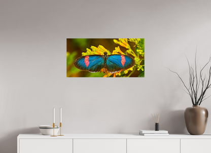 32 x 16″, Photo Print on Aluminum Backing Racing Stripes