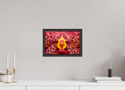 12 x 8″, Floater Frame Alder Brown Ignis Victoriae