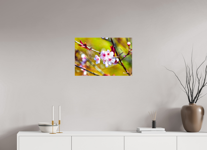 24 x 16″, Glossy Metal Cherry Blossom