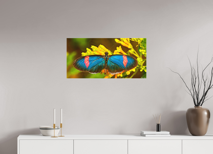 32 x 16″, Matte Canvas Racing Stripes