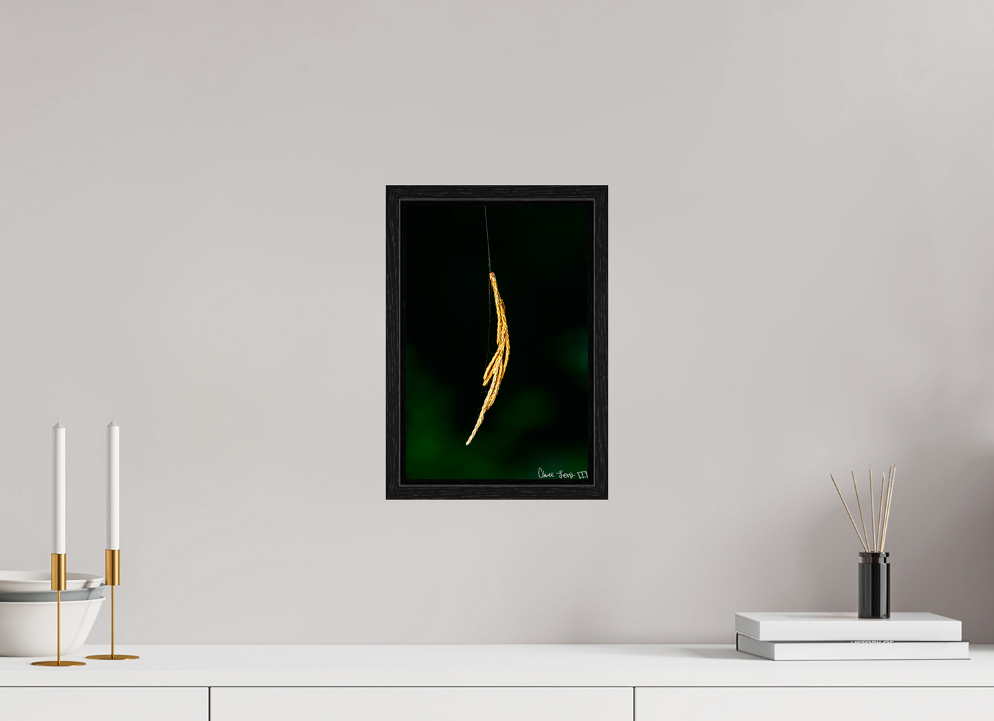 8 x 12″, Floater Frame Black Oak Nature’s Tether