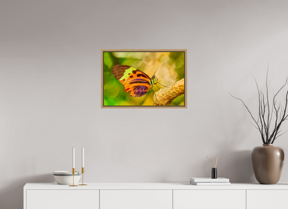 24 x 16″, Floater Frame Natural Oak Flamboyance