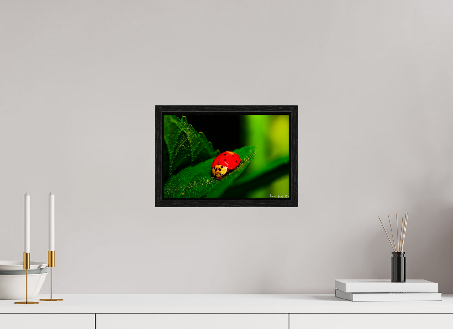 12 x 8″, Floater Frame Black Oak Our Lady Bird