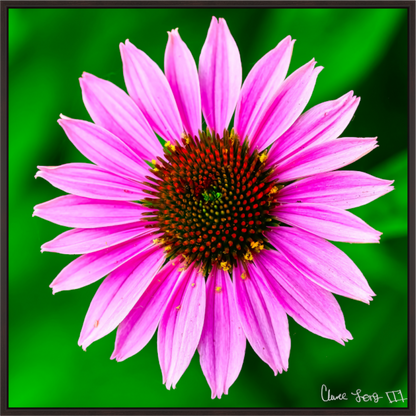 Main image Icosidigon