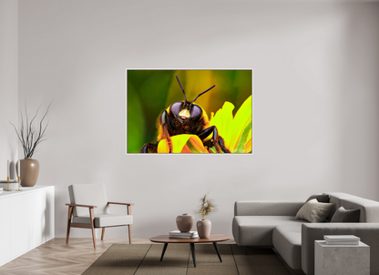 66 x 44″, Floater Frame Maple White The Curious Bumblebee