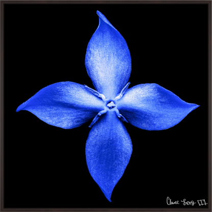 Main image Halcyon Compass