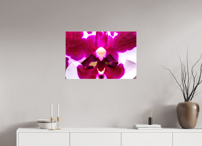 30 x 20″, Glossy Canvas Droid Orchid