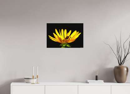 24 x 16″, Matte Canvas Sweet Dreams