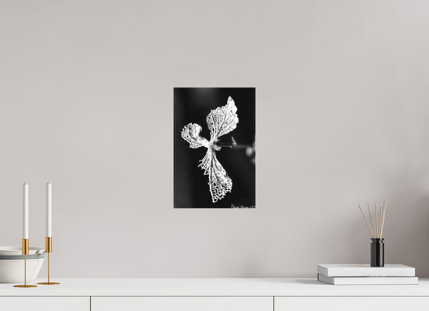 8 x 12″, Matte Canvas Dragon’s Ascent