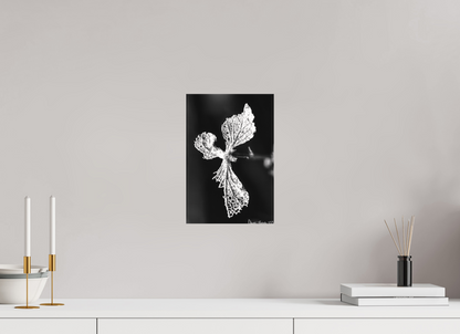 8 x 12″, Matte Canvas Dragon’s Ascent