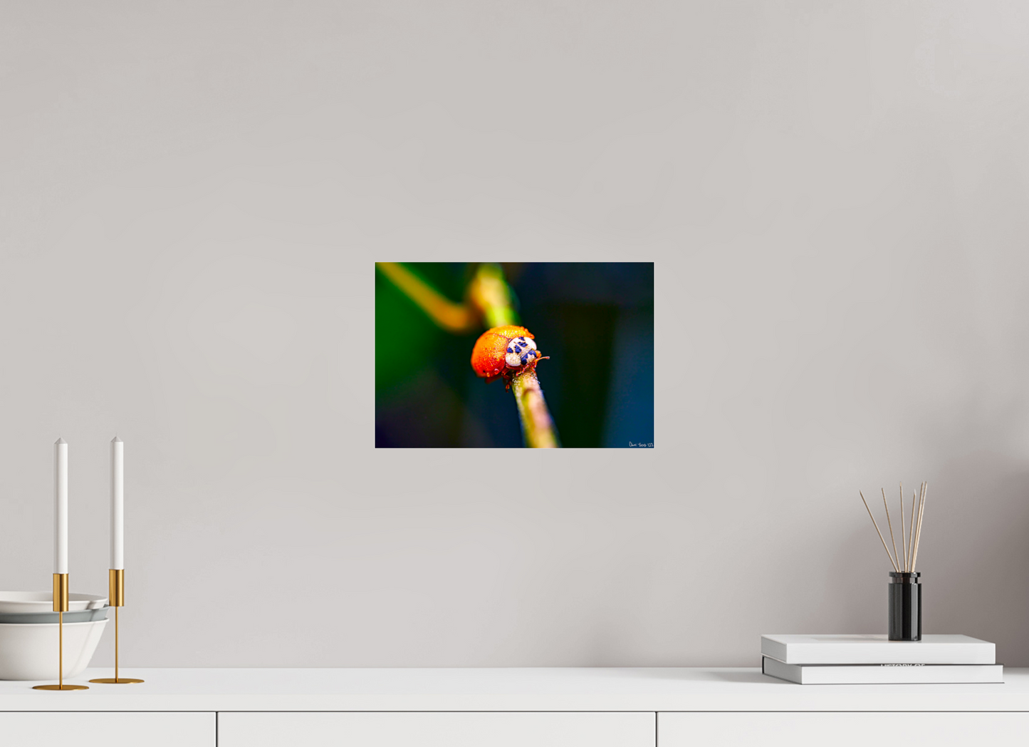 12 x 8″, Acrylic Dew-Kissed Ladybug