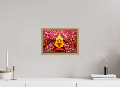 12 x 8″, Floater Frame Natural Oak Ignis Victoriae