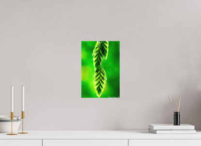 8 x 12″, Matte Canvas Harmonic Trinity