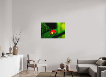 36 x 24″, Matte Canvas Our Lady Bird