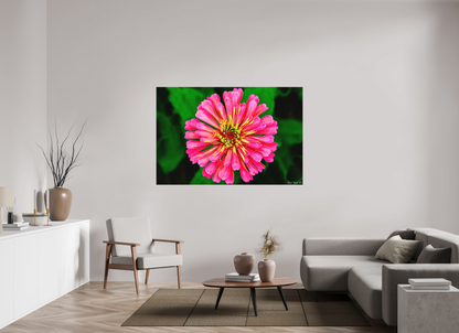 66 x 44″, Matte Metal Peach Summer