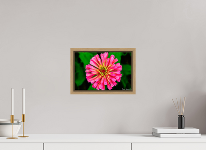 12 x 8″, Floater Frame Natural Oak Peach Summer