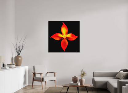 40 x 40″, Matte Metal Blazing Compass