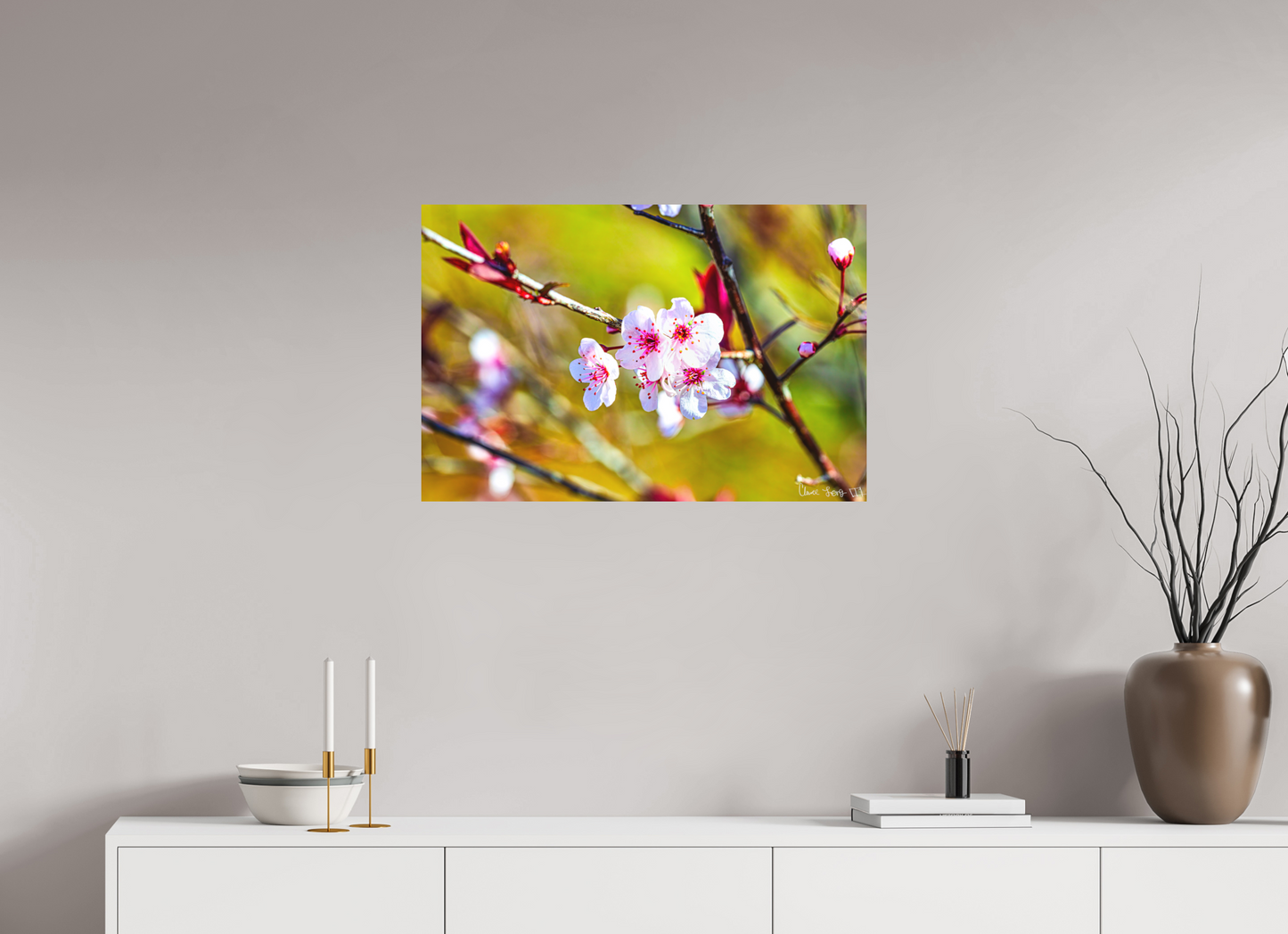 30 x 20″, Forex Cherry Blossom