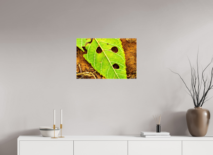 24 x 16″, Glossy Canvas Flabbergasted