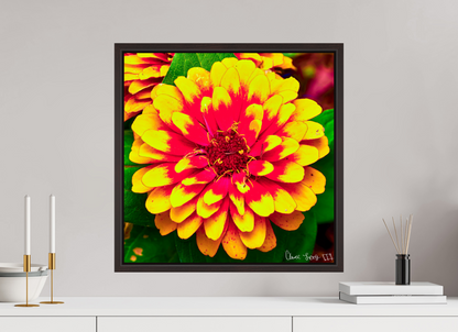 20 x 20″, Floater Frame Alder Brown Radiance