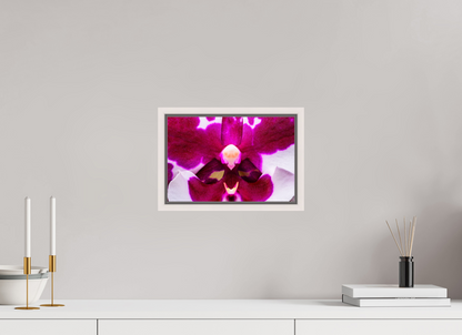 12 x 8″, Floater Frame Maple White Droid Orchid