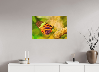 30 x 20″, Forex Flamboyance