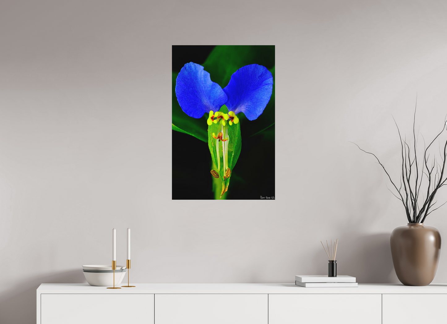 20 x 30″, Matte Metal Asiatic Dayflower