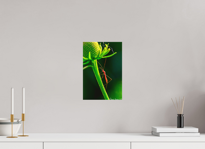 8 x 12″, Matte Canvas Reaching the Apex