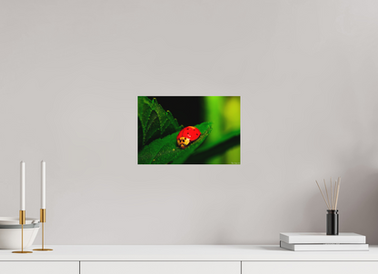 12 x 8″, Matte Metal Our Lady Bird