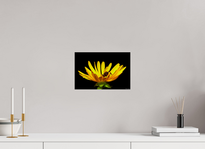 12 x 8″, Photo Print on Aluminum Backing Sweet Dreams