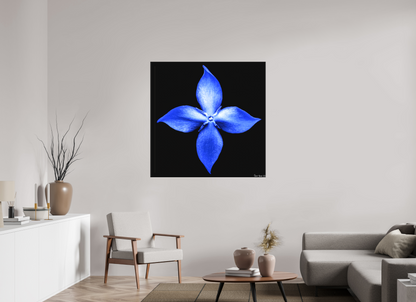 45 x 45″, Matte Canvas Halcyon Compass