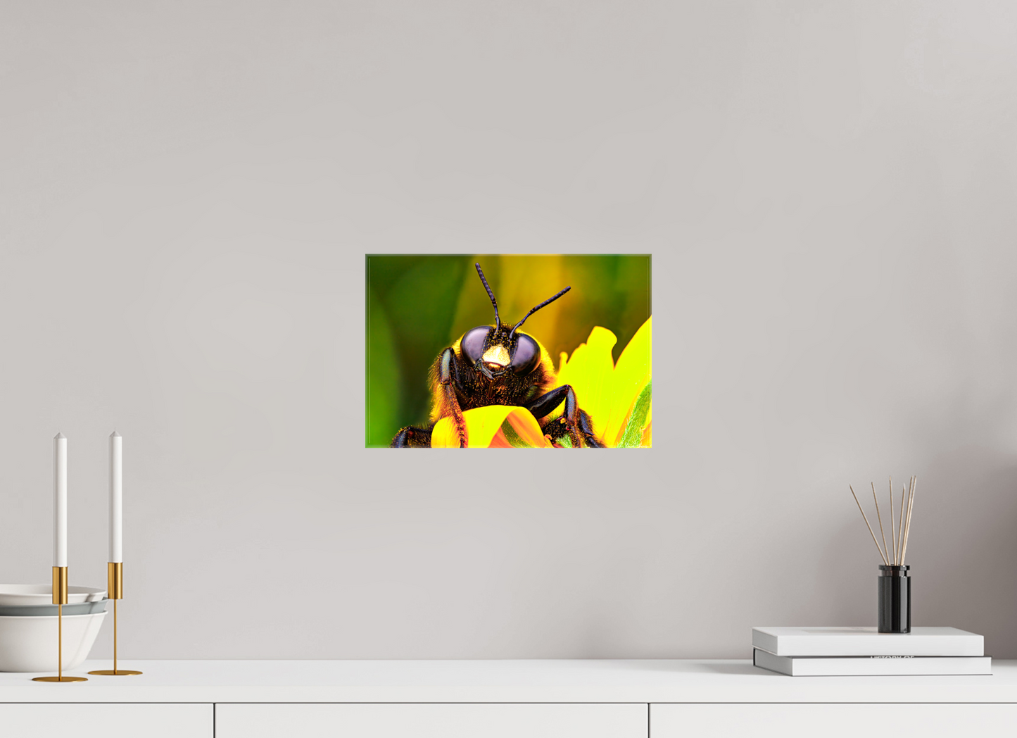 12 x 8″, Glossy Canvas The Curious Bumblebee
