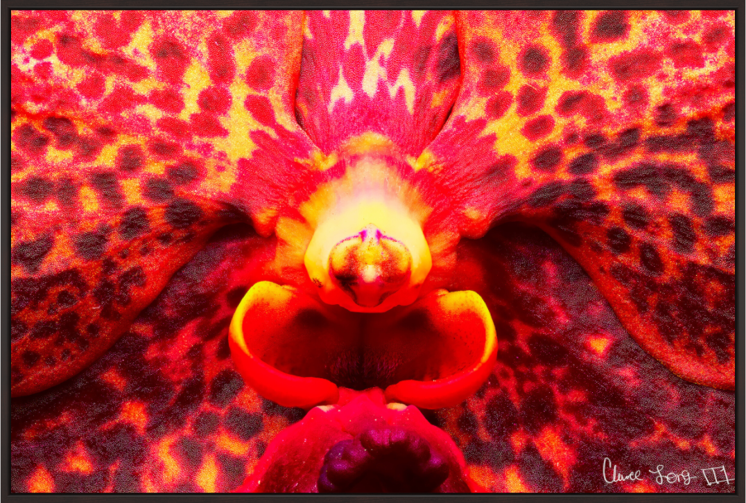 Main image Orchid’s Last Stand in the Inferno