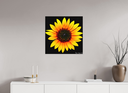 25 x 25″, Matte Canvas Nana’s Sunflower