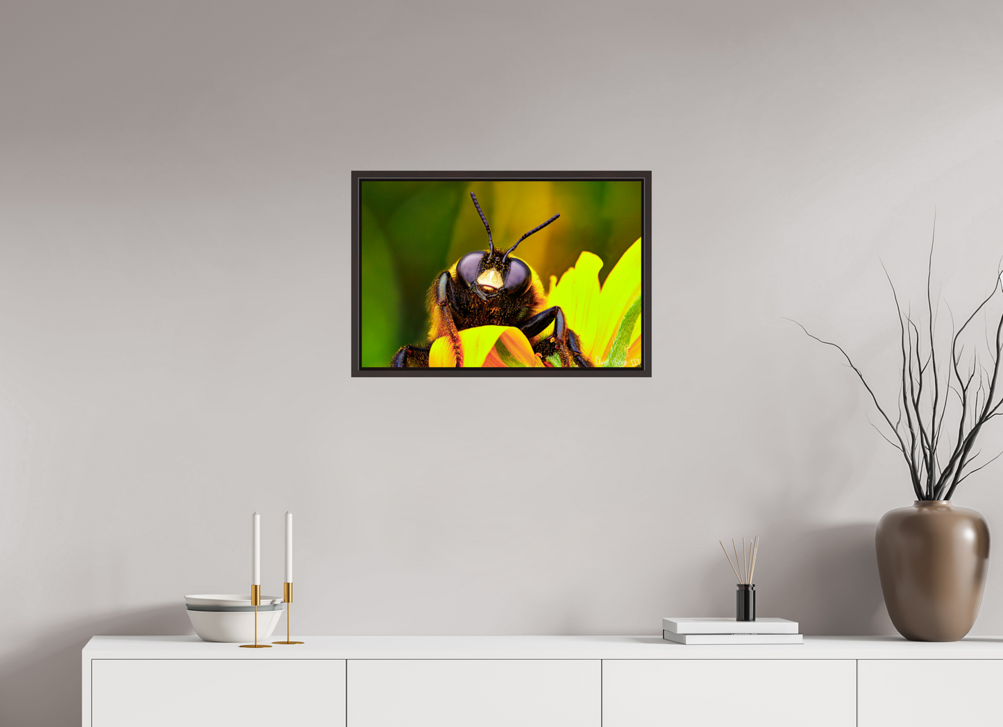 24 x 16″, Floater Frame Alder Brown The Curious Bumblebee