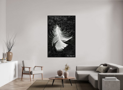 44 x 66″, Floater Frame Black Oak Feather On Ice