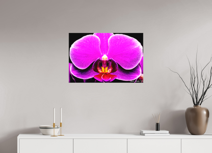 30 x 20″, Matte Canvas Magnificence