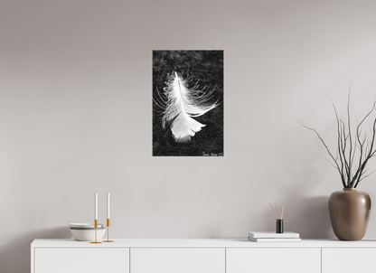 16 x 24″, Matte Canvas Feather On Ice