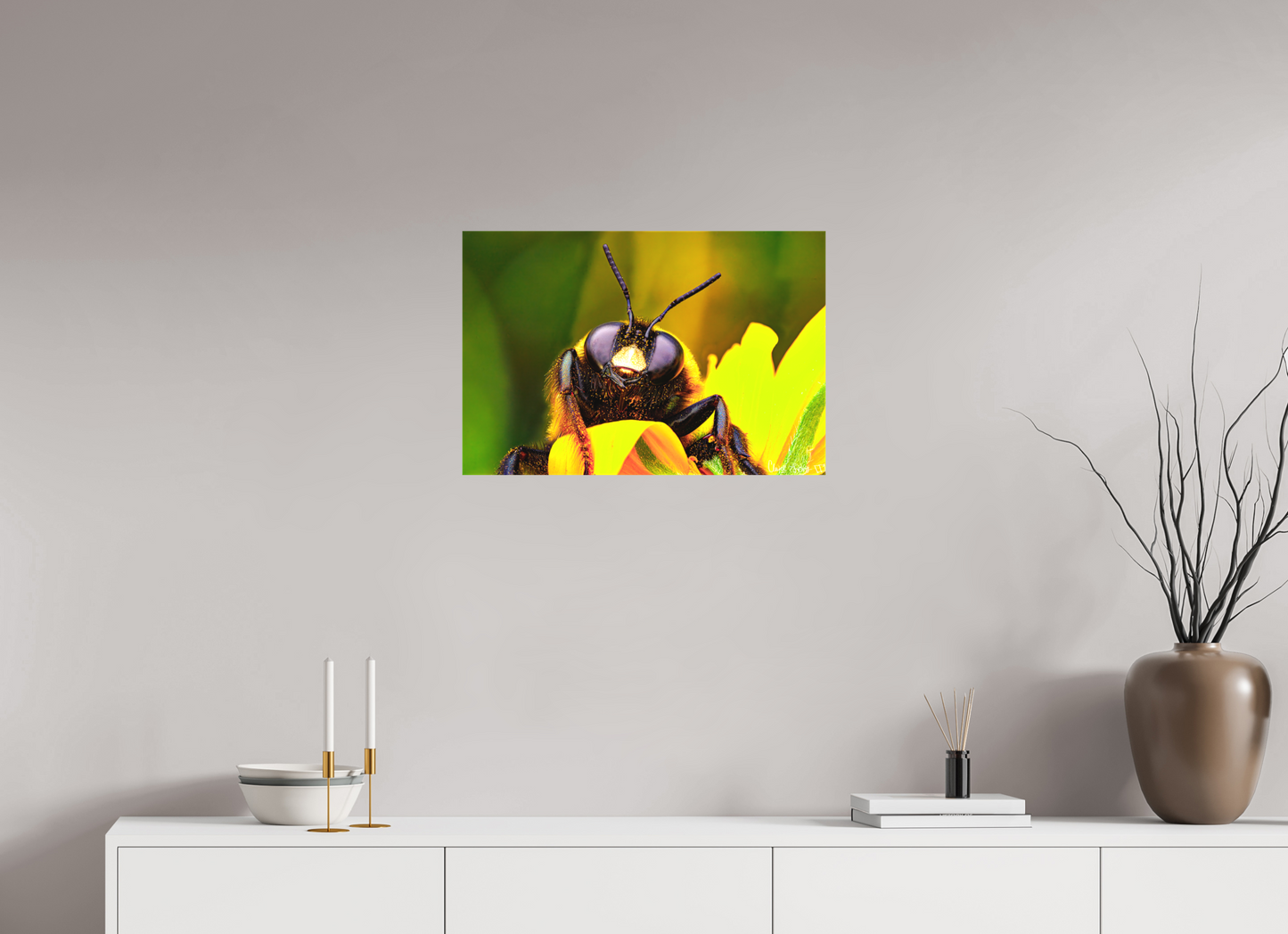 24 x 16″, Matte Canvas The Curious Bumblebee