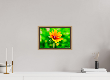 12 x 8″, Floater Frame Natural Oak Stillness in the Blur