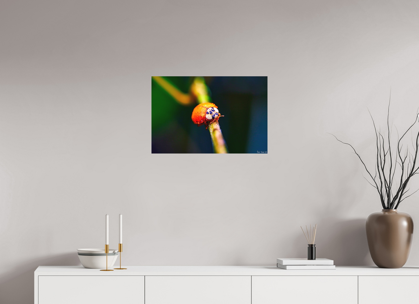 24 x 16″, Forex Dew-Kissed Ladybug