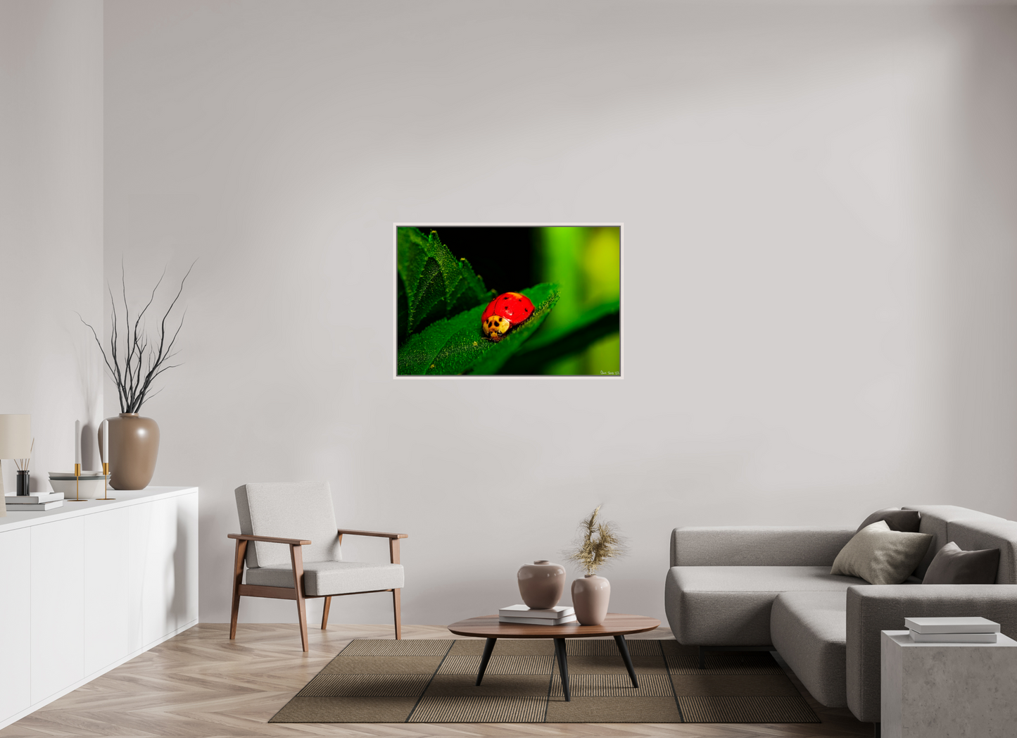 45 x 30″, Floater Frame Maple White Our Lady Bird