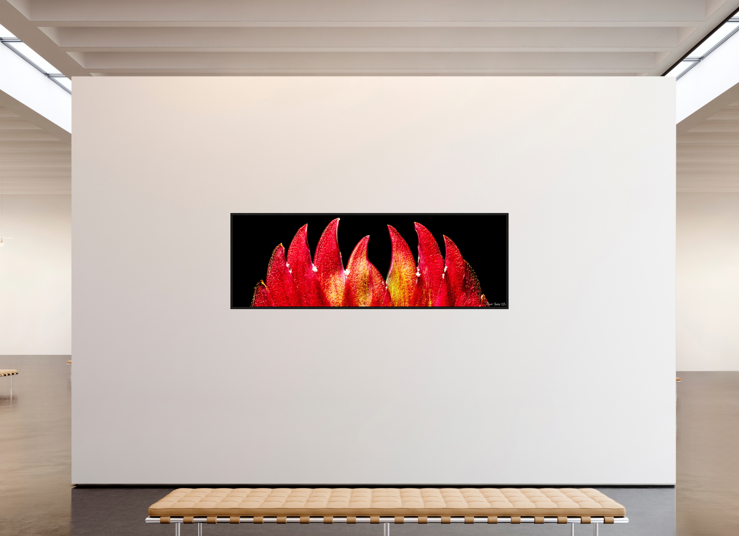 93 x 31″, Floater Frame Black Oak Flaming Sword
