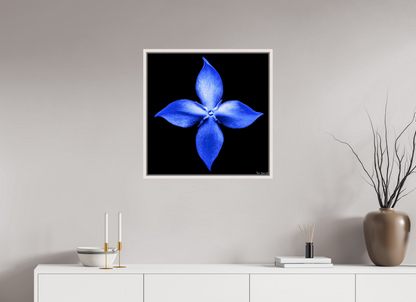 25 x 25″, Floater Frame Maple White Halcyon Compass