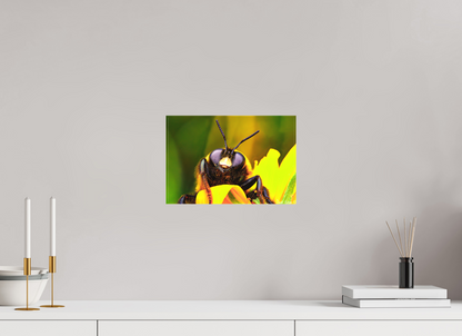 12 x 8″, Matte Canvas The Curious Bumblebee