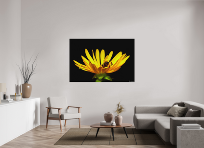 66 x 44″, Direct Print on Aluminum Dibond Default Sweet Dreams