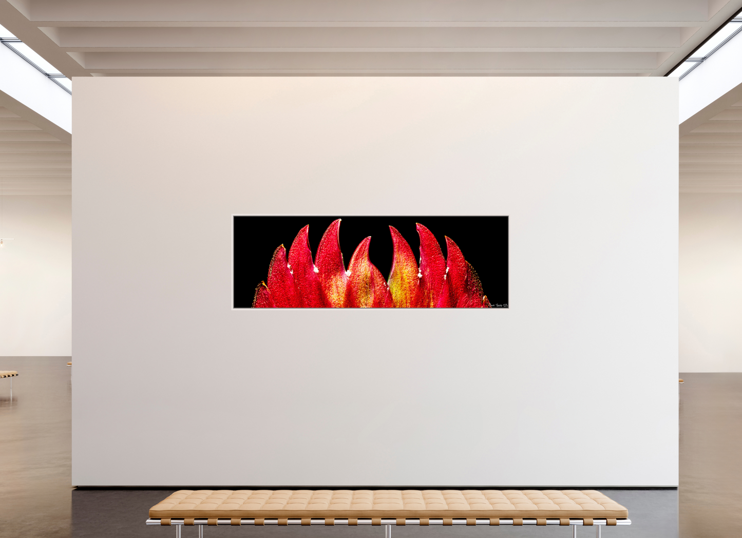 93 x 31″, Floater Frame Maple White Flaming Sword