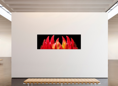 93 x 31″, Floater Frame Maple White Flaming Sword