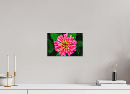 12 x 8″, Matte Metal Peach Summer